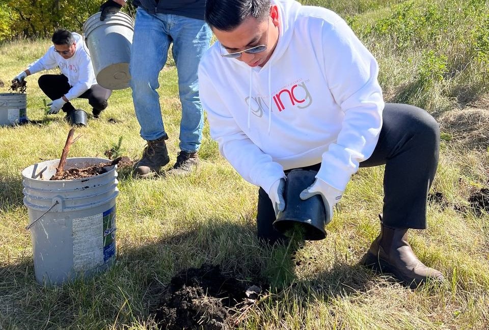 Hundreds of tree seedlings planted in Assiniboia, Canada