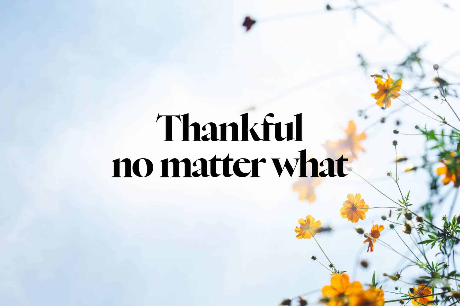 Thankful no matter what